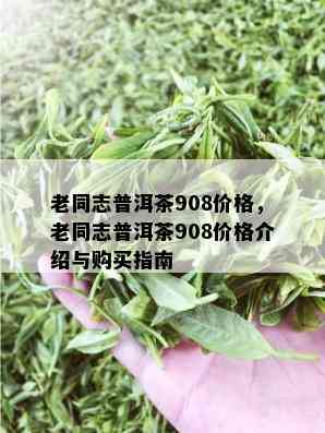 老同志普洱茶908价格，老同志普洱茶908价格介绍与购买指南