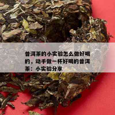 普洱茶的小实验怎么做好喝的，动手做一杯好喝的普洱茶：小实验分享