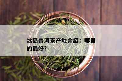 冰岛普洱茶产地介绍：哪里的更好？