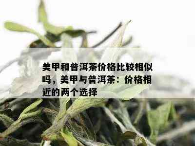 美甲和普洱茶价格比较相似吗，美甲与普洱茶：价格相近的两个选择