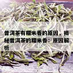 普洱茶有糯米香的原因，揭秘普洱茶的糯米香：原因解析