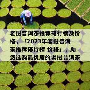 老挝普洱茶推荐排行榜及价格，「2023年老挝普洱茶推荐排行榜 价格」，助您选购更优质的老挝普洱茶！