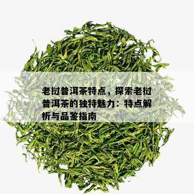 老挝普洱茶特点，探索老挝普洱茶的独特魅力：特点解析与品鉴指南