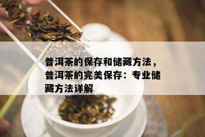 普洱茶的保存和储藏方法，普洱茶的完美保存：专业储藏方法详解