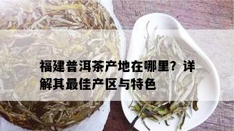 福建普洱茶产地在哪里？详解其更佳产区与特色