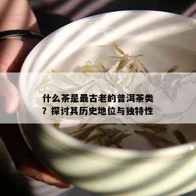 什么茶是最古老的普洱茶类？探讨其历史地位与独特性