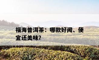 福海普洱茶：哪款好闻、便宜还美味？