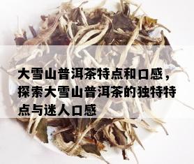 大雪山普洱茶特点和口感，探索大雪山普洱茶的独特特点与迷人口感