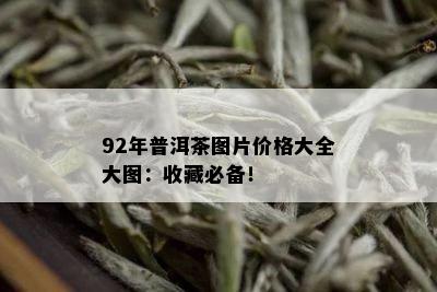 92年普洱茶图片价格大全大图：收藏必备！