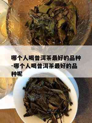 哪个人喝普洱茶更好的品种-哪个人喝普洱茶更好的品种呢