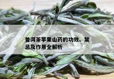 普洱茶苹果山药的功效、禁忌及作用全解析