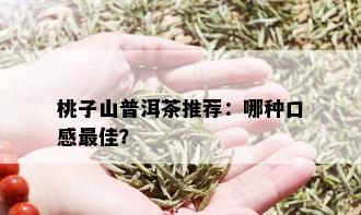 桃子山普洱茶推荐：哪种口感更佳？