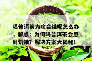 喝普洱茶为啥会饿呢怎么办，解惑：为何喝普洱茶会感到饥饿？解决方案大揭秘！