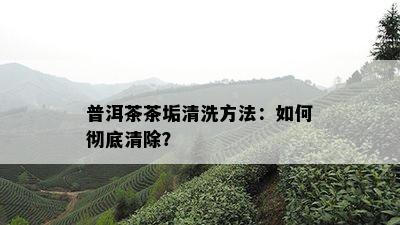 普洱茶茶垢清洗方法：如何彻底清除？