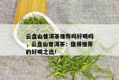 云盘山普洱茶推荐吗好喝吗，云盘山普洱茶：值得推荐的好喝之选！