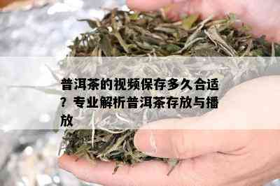 普洱茶的视频保存多久合适？专业解析普洱茶存放与播放