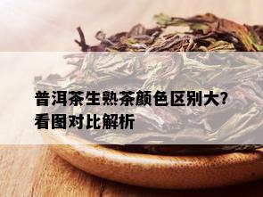 普洱茶生熟茶颜色区别大？看图对比解析