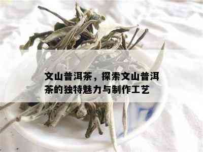 文山普洱茶，探索文山普洱茶的独特魅力与制作工艺