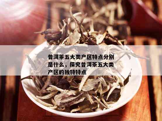 普洱茶五大类产区特点分别是什么，探究普洱茶五大类产区的独特特点