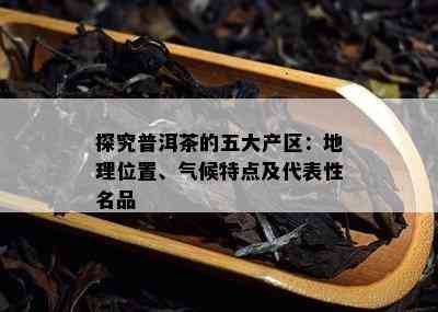 探究普洱茶的五大产区：地理位置、气候特点及代表性名品