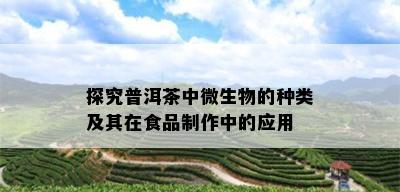 探究普洱茶中微生物的种类及其在食品制作中的应用