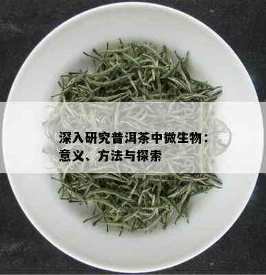 深入研究普洱茶中微生物：意义、方法与探索