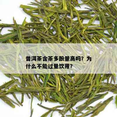 普洱茶含茶多酚量高吗？为什么不能过量饮用？