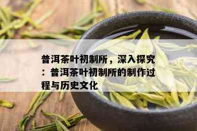 普洱茶叶初制所，深入探究：普洱茶叶初制所的制作过程与历史文化