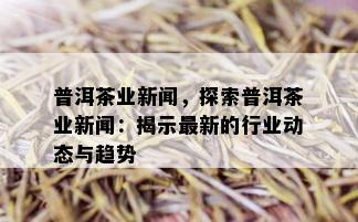 普洱茶业新闻，探索普洱茶业新闻：揭示最新的行业动态与趋势