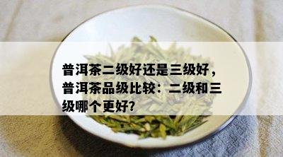 普洱茶二级好还是三级好，普洱茶品级比较：二级和三级哪个更好？