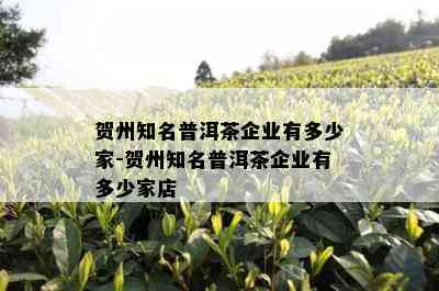 贺州知名普洱茶企业有多少家-贺州知名普洱茶企业有多少家店