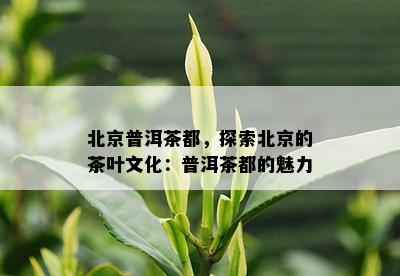 北京普洱茶都，探索北京的茶叶文化：普洱茶都的魅力