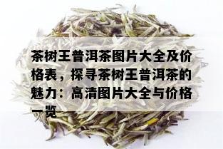 茶树王普洱茶图片大全及价格表，探寻茶树王普洱茶的魅力：高清图片大全与价格一览