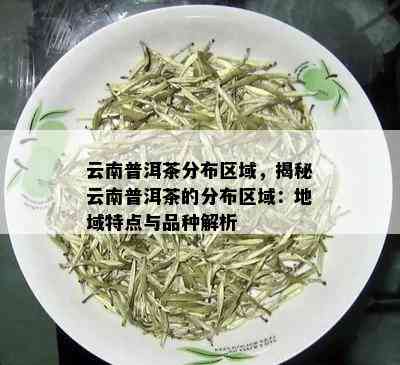 云南普洱茶分布区域，揭秘云南普洱茶的分布区域：地域特点与品种解析