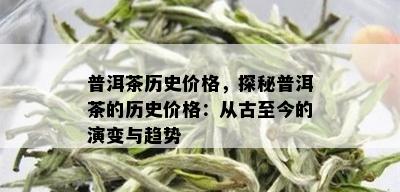 普洱茶历史价格，探秘普洱茶的历史价格：从古至今的演变与趋势