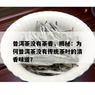 普洱茶没有茶香，揭秘：为何普洱茶没有传统茶叶的清香味道？