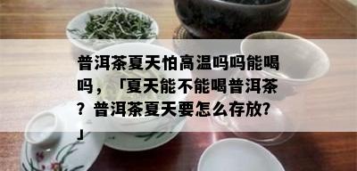 普洱茶夏天怕高温吗吗能喝吗，「夏天能不能喝普洱茶？普洱茶夏天要怎么存放？」