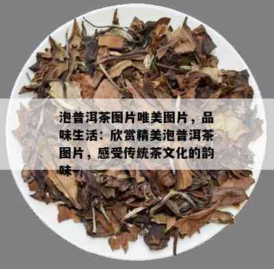 泡普洱茶图片唯美图片，品味生活：欣赏精美泡普洱茶图片，感受传统茶文化的韵味