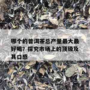 哪个的普洱茶总产量更大更好喝？探究市场上的顶级及其口感