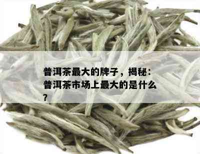 普洱茶更大的牌子，揭秘：普洱茶市场上更大的是什么？