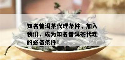 知名普洱茶代理条件，加入我们，成为知名普洱茶代理的必备条件！