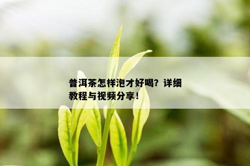 普洱茶怎样泡才好喝？详细教程与视频分享！