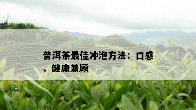 普洱茶更佳冲泡方法：口感、健康兼顾