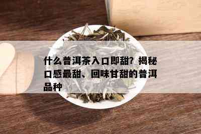 什么普洱茶入口即甜？揭秘口感最甜、回味甘甜的普洱品种