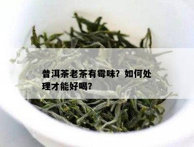 普洱茶老茶有霉味？如何处理才能好喝？