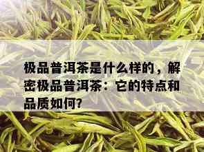 极品普洱茶是什么样的，解密极品普洱茶：它的特点和品质如何？