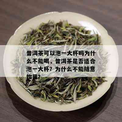 普洱茶可以泡一大杯吗为什么不能喝，普洱茶是否适合泡一大杯？为什么不能随意饮用？