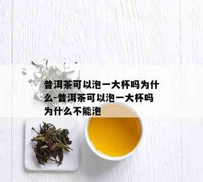 普洱茶可以泡一大杯吗为什么-普洱茶可以泡一大杯吗为什么不能泡