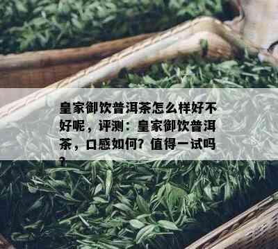 皇家御饮普洱茶怎么样好不好呢，评测：皇家御饮普洱茶，口感如何？值得一试吗？