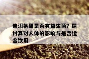 普洱茶里是否有益生菌？探讨其对人体的影响与是否适合饮用